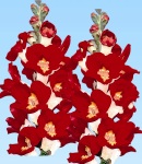 Antirrhinum_redwhite.jpg