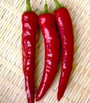 hotpepper7_130×150.JPG