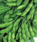 soybeans13_130×150.jpg