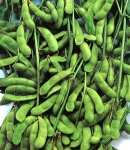 soybeans17_130×150.jpg