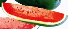 watermelon1_220×194.JPG