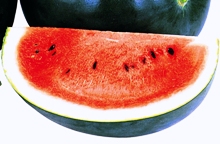 watermelon5_220×144.JPG