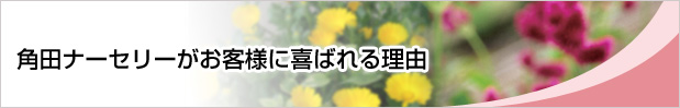 角田ナーセリーがお客様に喜ばれる理由