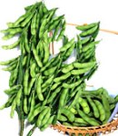 soybeans15_130×150.jpg